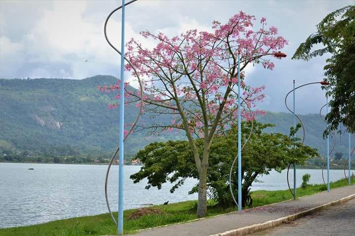 Pousada Castelinho Maricá エクステリア 写真